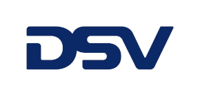 Logo for DSV Air & Sea Inc